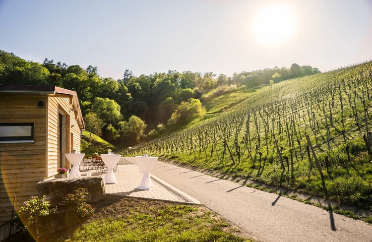 Foto von Weingut Mödinger