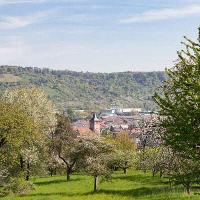 Blick auf Winterbach (Foto: Gemeinde Winterbach)